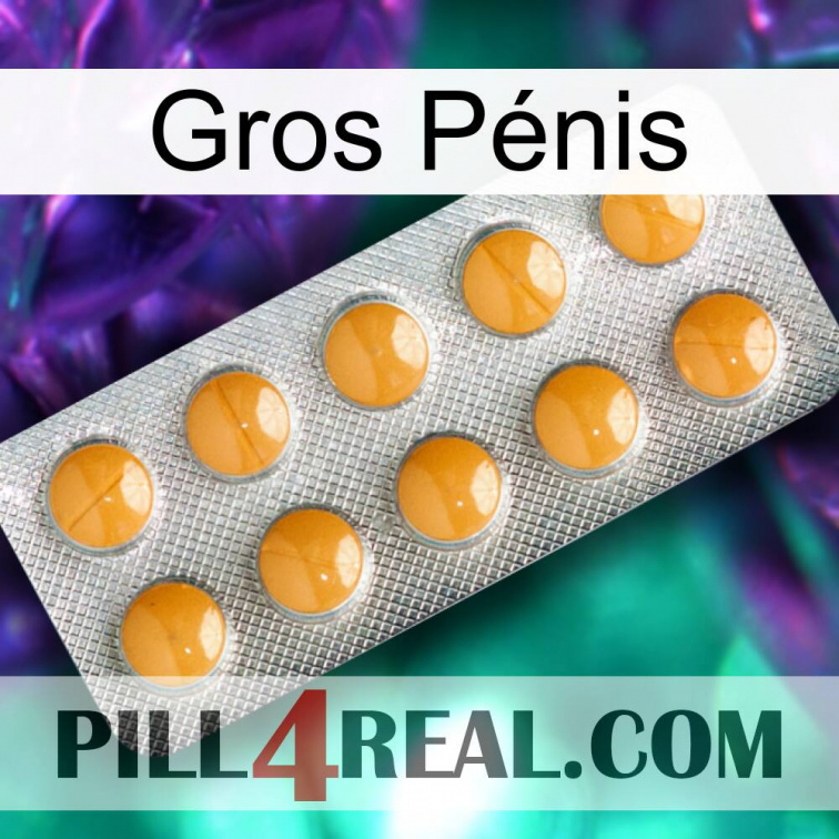 Gros Pénis levitra1